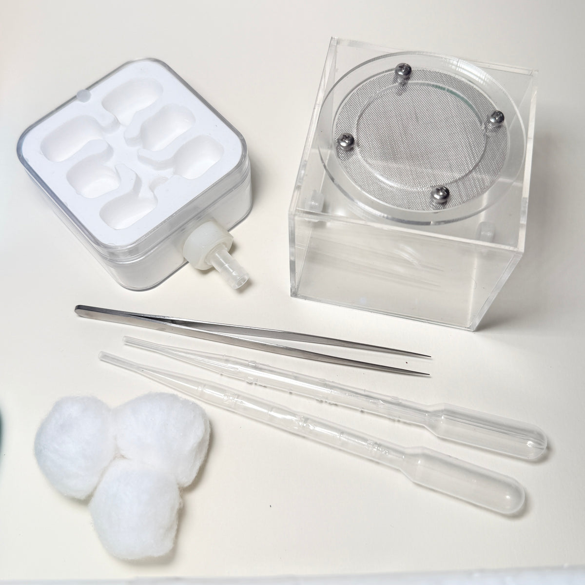 Complete Ant Farm Starter Kit for Ant Keepers
