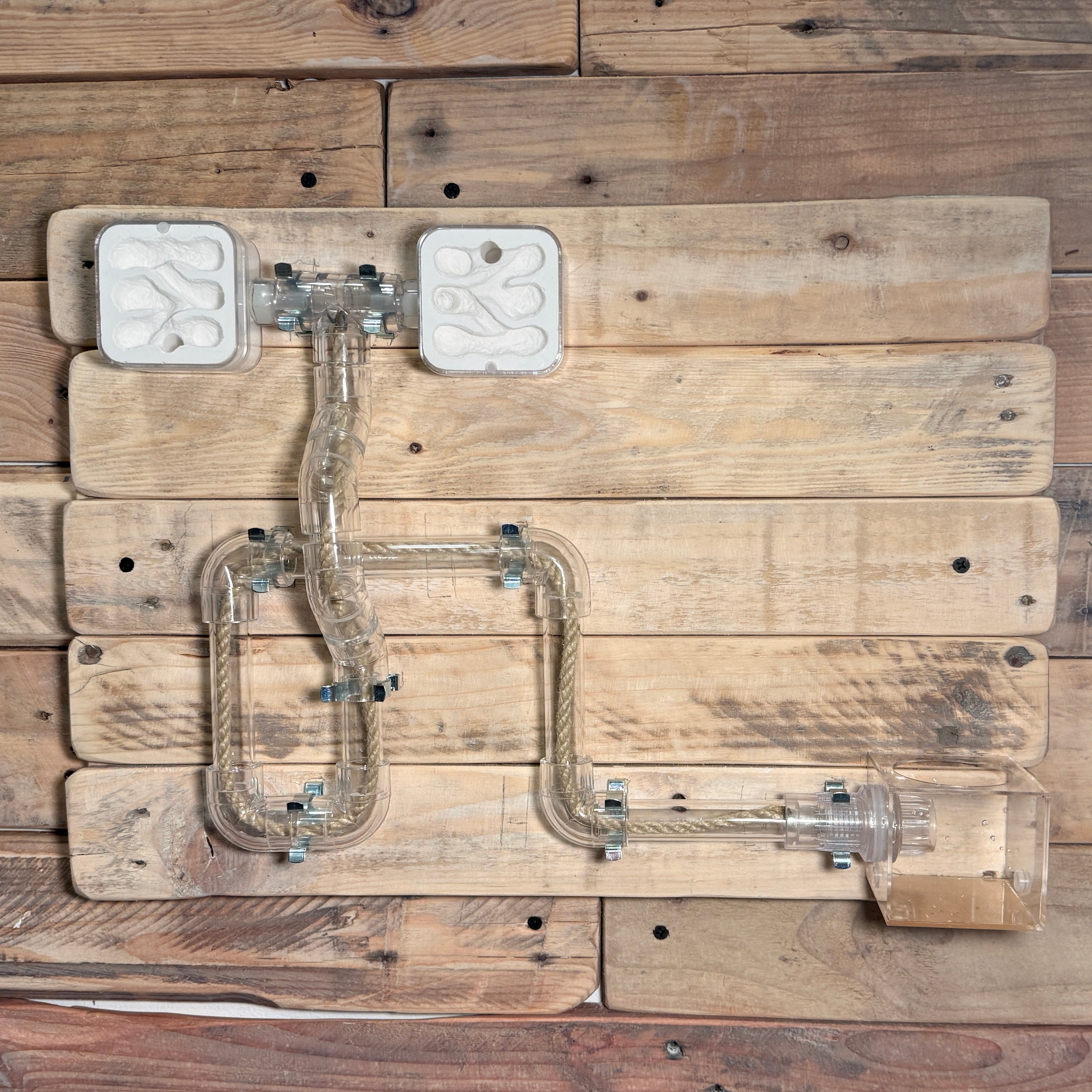 TikiNest 2.0 | Wall Mounted Ant Nest