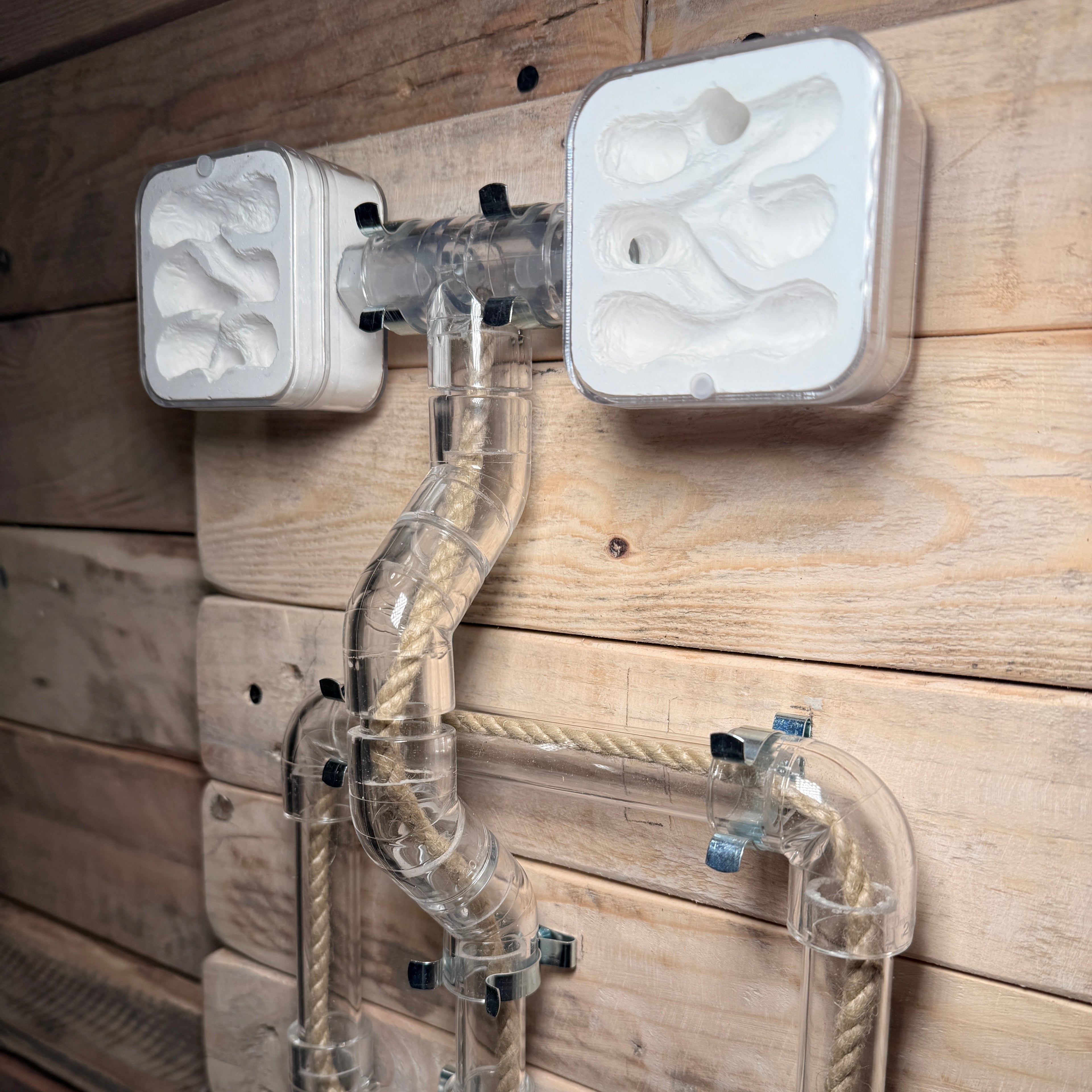 TikiNest 2.0 | Wall Mounted Ant Nest