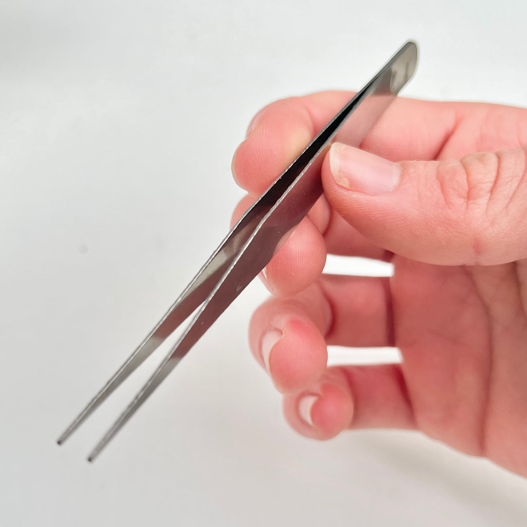 Ant Keeping Tweezers