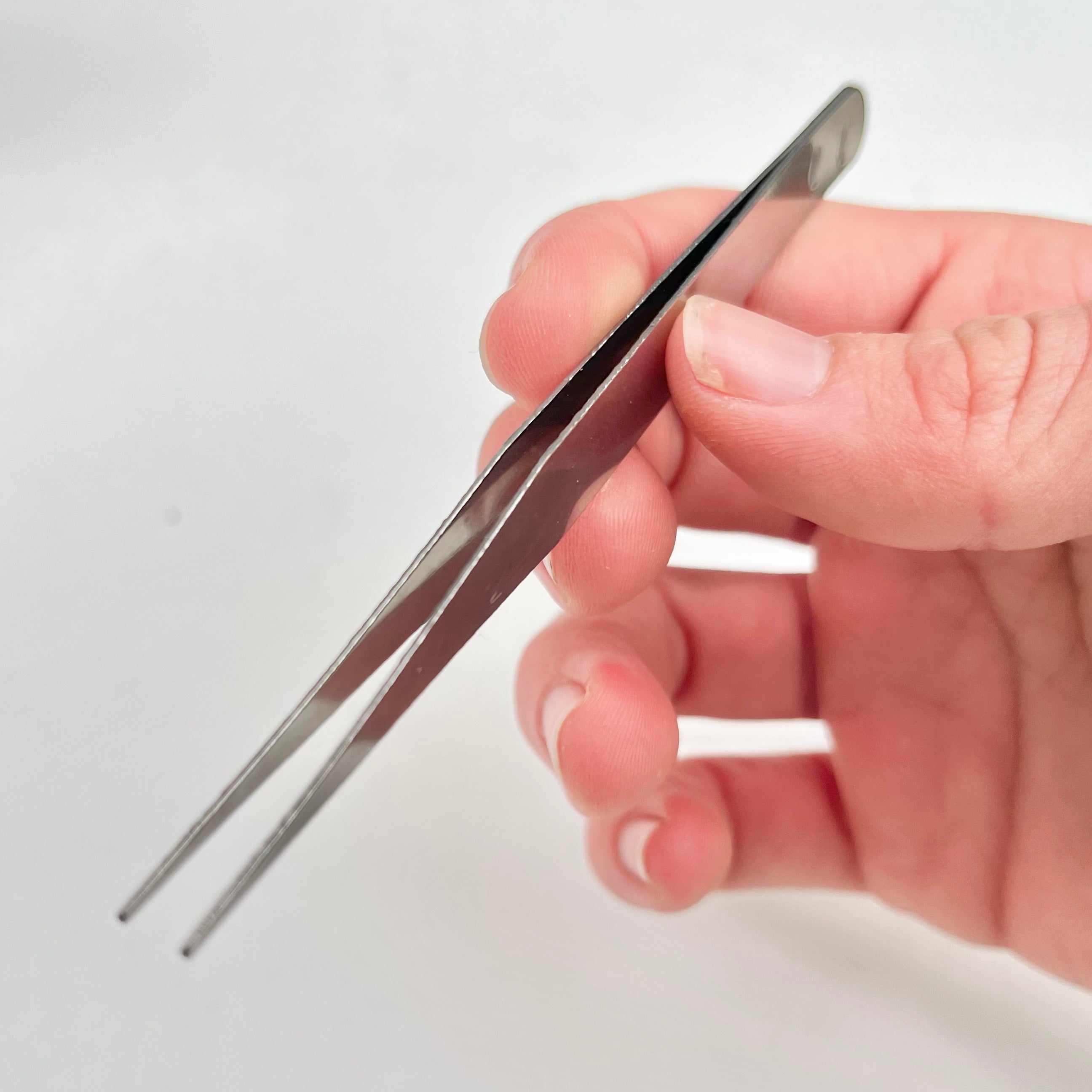 Ant Keeping Tweezers