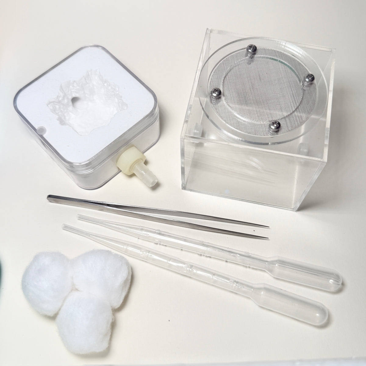 Complete Ant Farm Starter Kit for Ant Keepers