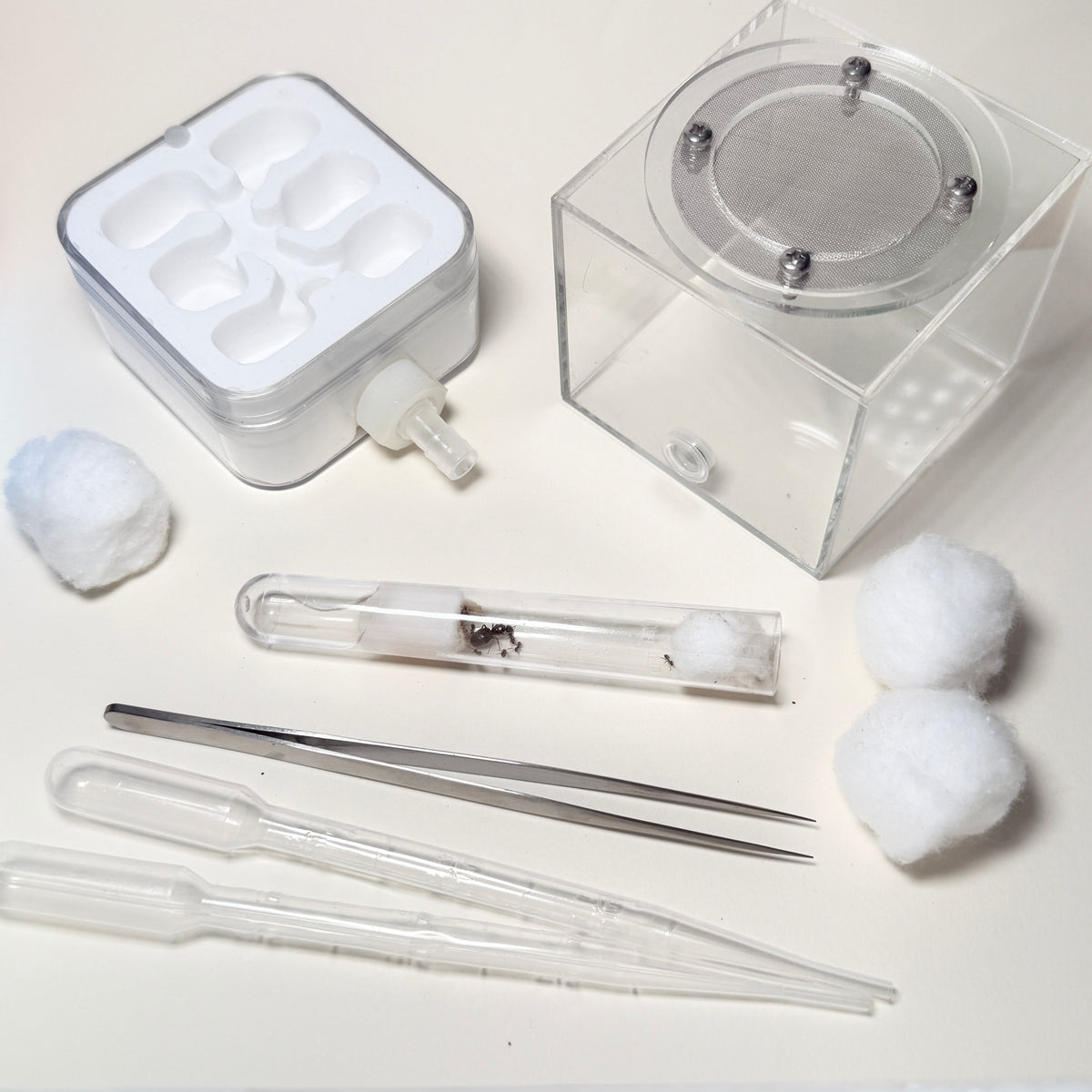 Complete Ant Farm Starter Kit with Lasius Niger Colony