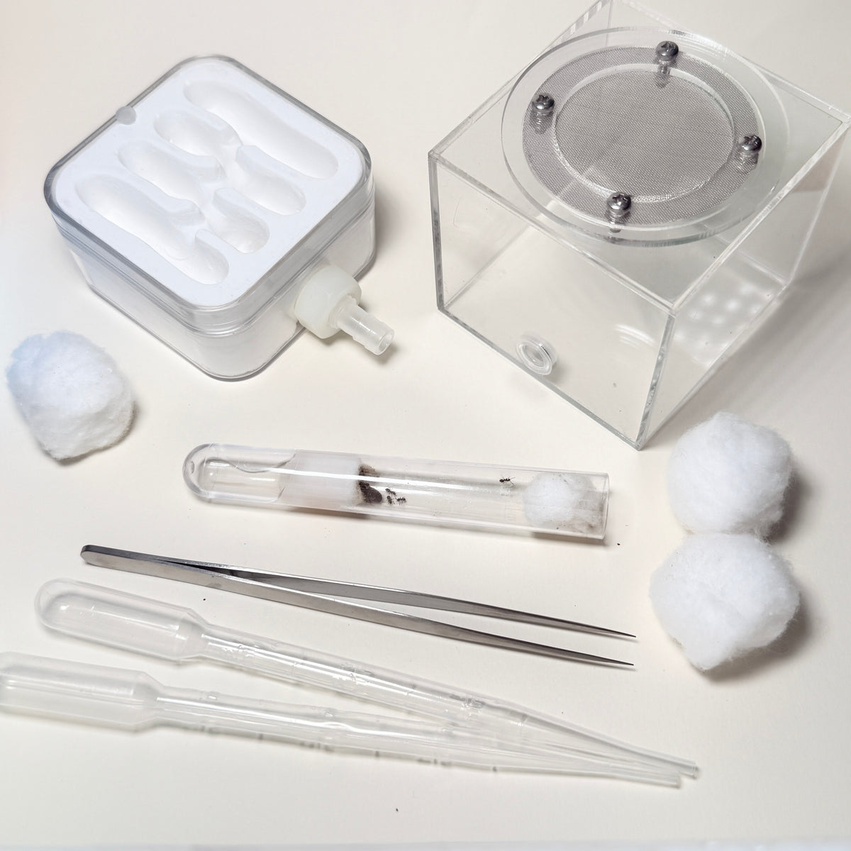 Complete Ant Farm Starter Kit with Lasius Niger Colony