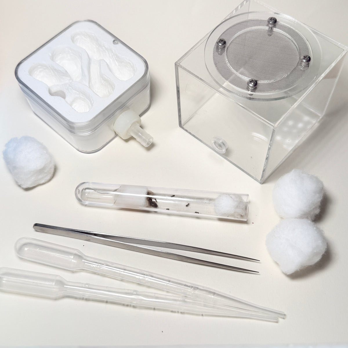 Complete Ant Farm Starter Kit with Lasius Niger Colony